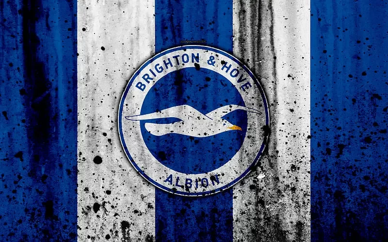 Brighton Hove Albion: Lịch sử, danh hiệu và những huyền thoại 26 Brighton Hove Albion: Lịch sử, danh hiệu và những huyền thoại