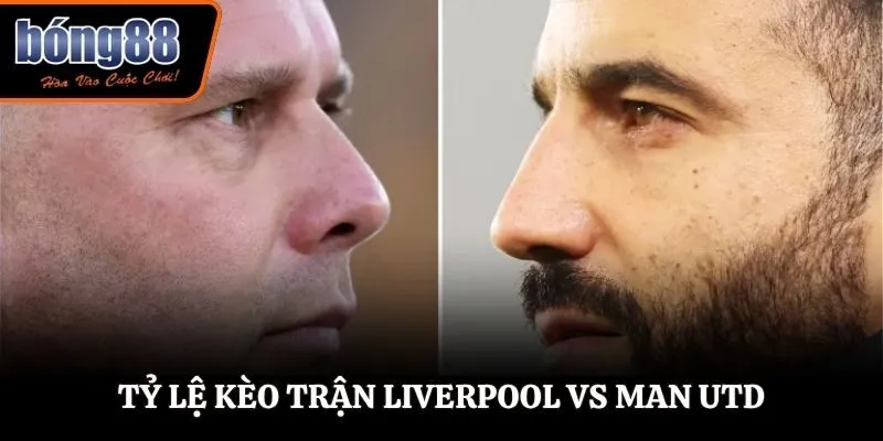Soi kèo Liverpool vs Man Utd , 22h30 ngày 19/10/2025 - Premier League 3 Soi kèo Liverpool vs Man Utd - bảng tỷ lệ trước trận